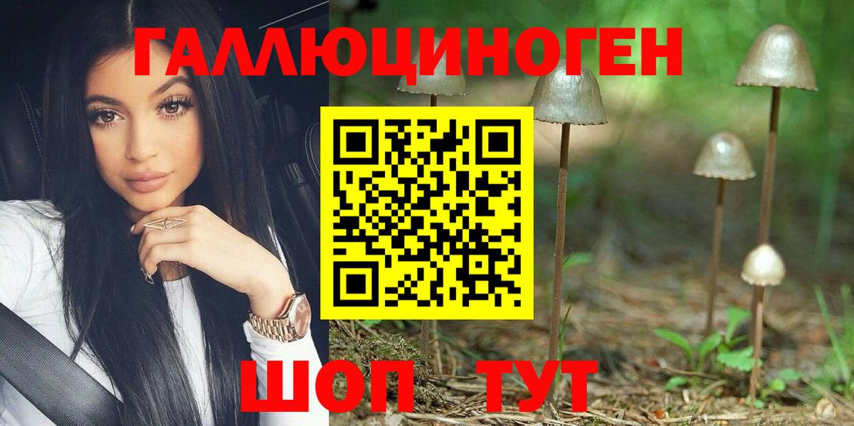 Галлюциногенные грибы мицелий Новокубанск