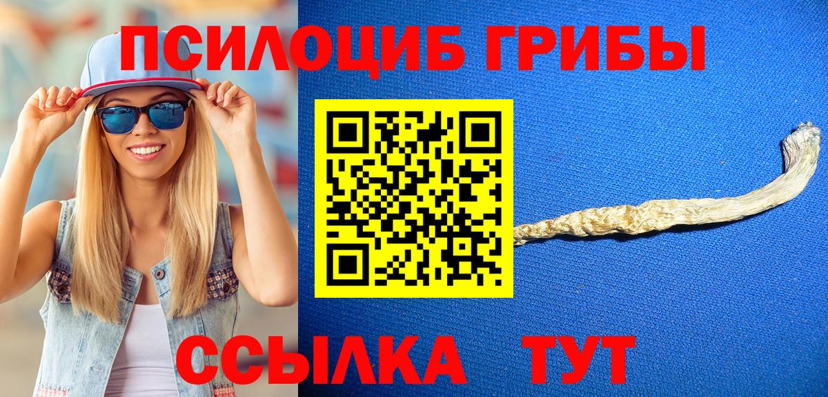 Псилоцибиновые грибы Magic Shrooms  Вход с VPN  Новокубанск  Галлюциногенные грибы Psilocybine cubensis 